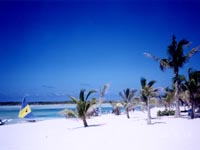 ひたすら青い、カリブ海のビーチ